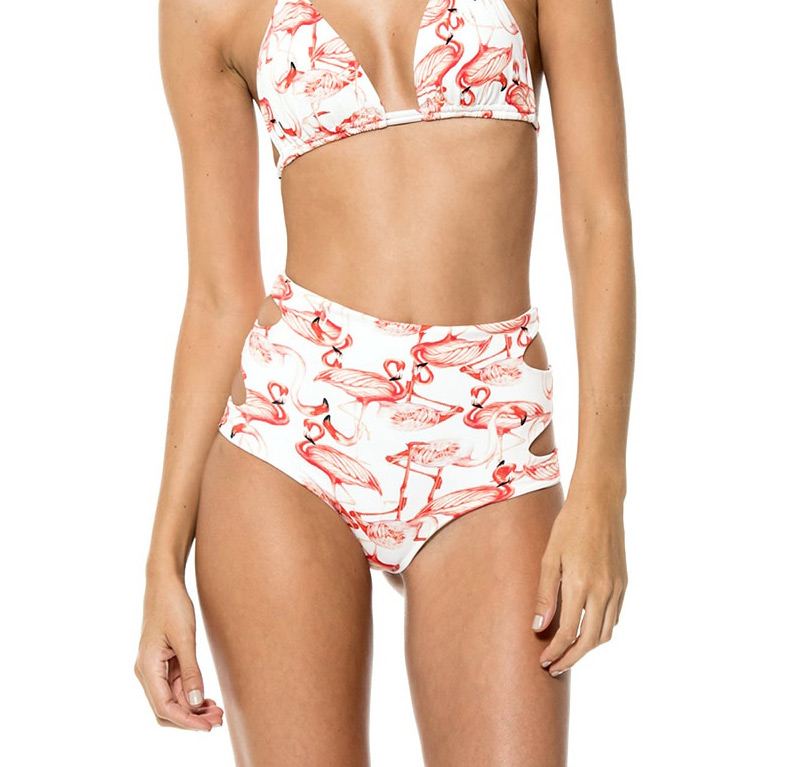 Lovely Multi-color Flamingo Pattern Decorated Swimwear,Bikini Sets