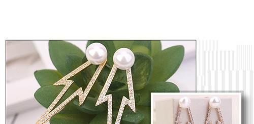 Elegant Silver Color Hollow Out Design Earrings,Crystal Earrings