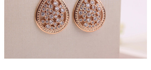 Elegant Rose Gold Waterdrop Shape Decorated Earrings,Crystal Earrings