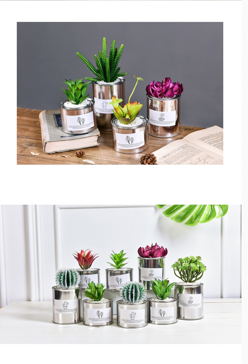 Lovely Green Artificial Cactus Decorated Ornaments,Household goods