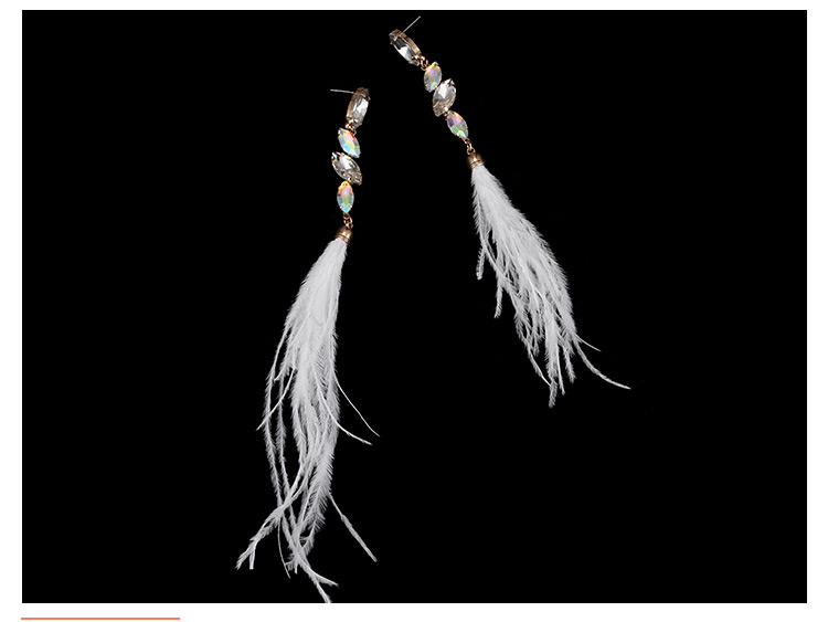 Trendy Black Feather Pendant Decorated Long Earrings,Drop Earrings