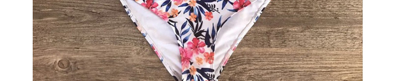 Fashion Multi-color Flower Pattern Decorated Swimwear,Swimwear Sets