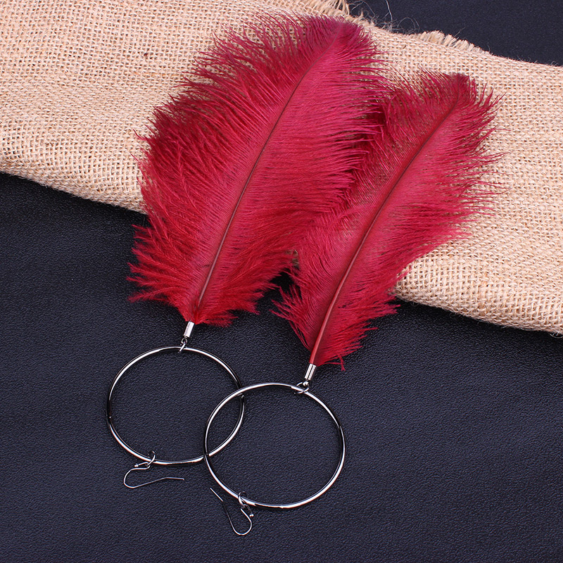 Fashion Black Feather Shape Decorated Earrings,Drop Earrings
