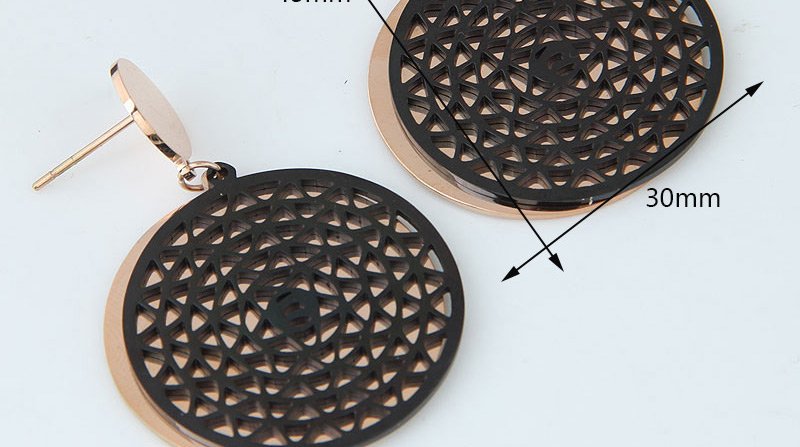Fashion Rose Gold +black Cobweb Shape Design Earrings,Earrings