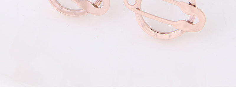 Fashion Rose Gold Hollow Out Design Round Earrings,Earrings
