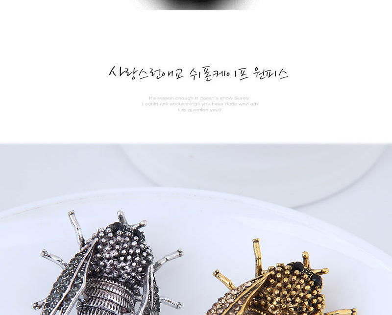 Elegant Silver Color Cicadidae Shape Design Simple Brooch,Korean Brooches