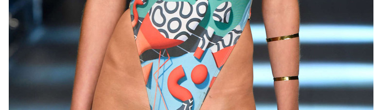 Sexy Multi-color Swan Pattern Decorated V Neckline Bikini,One Pieces