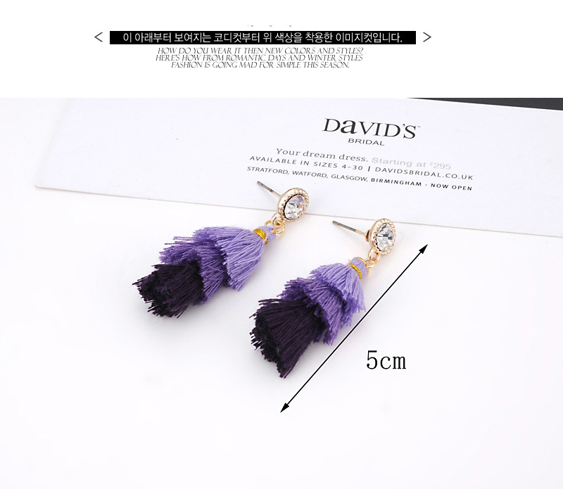 Fashion Purple Tassel Decorated Earrings,Drop Earrings