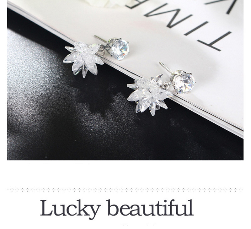 Elegant White Snowflake Shape Decorated Tassel Earrings,Drop Earrings