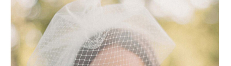 Fashion White Grid Pattern Decorated Veil,Hair Ribbons