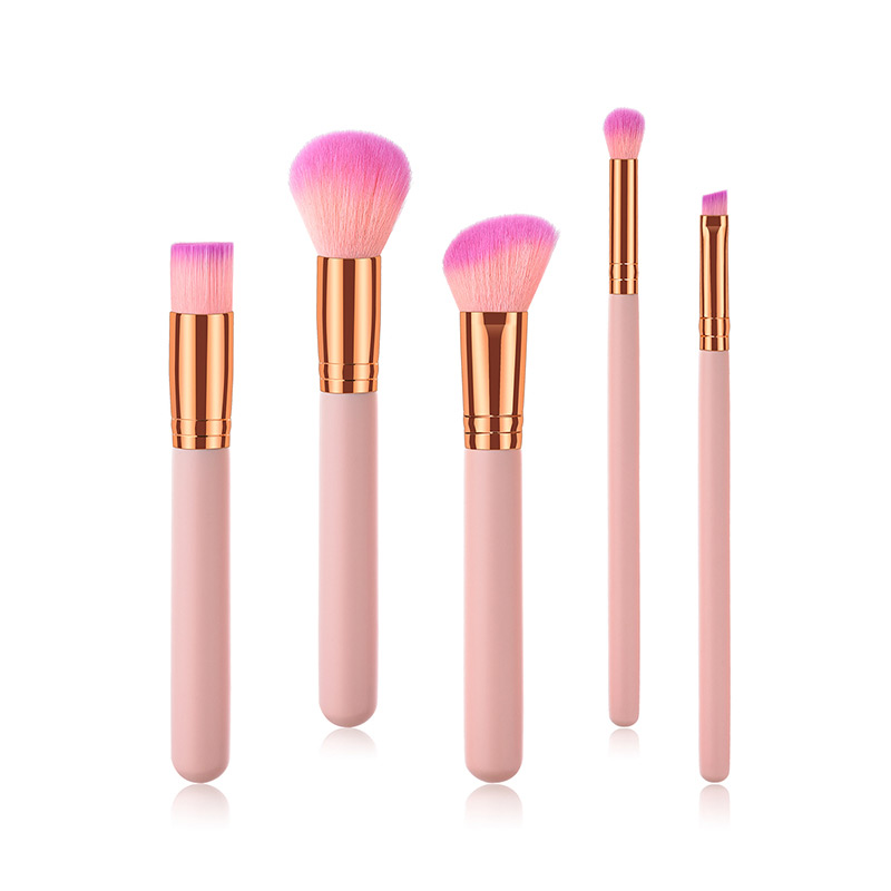 Fashion Pink+plum Red Oblique Shape Decorated Makeup Brush (5 Pcs ),Beauty tools