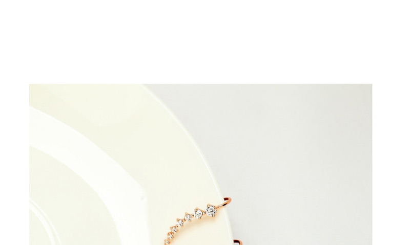Fashion Rose Gold Full Diamond Decorated Earrings,Earrings