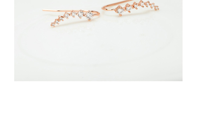 Fashion Rose Gold Full Diamond Decorated Earrings,Earrings