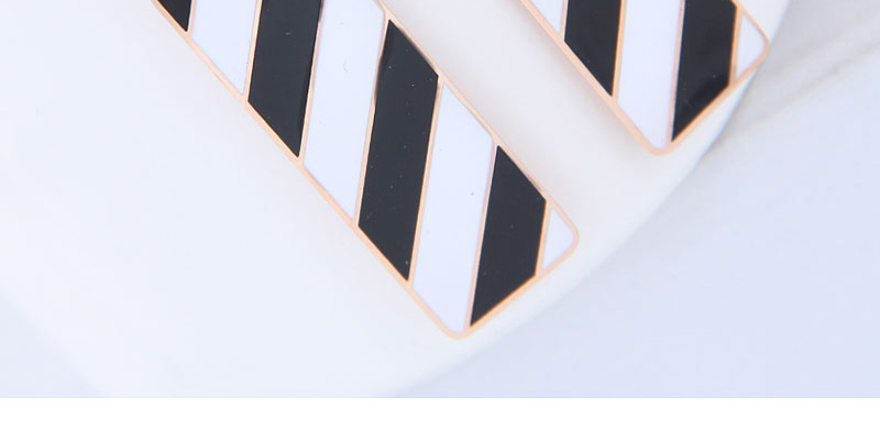 Elegant Black+white Stripe Pattern Decorated Earrings,Earrings
