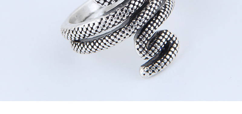 Fashion Silver Snake Ring

,Fashion Rings