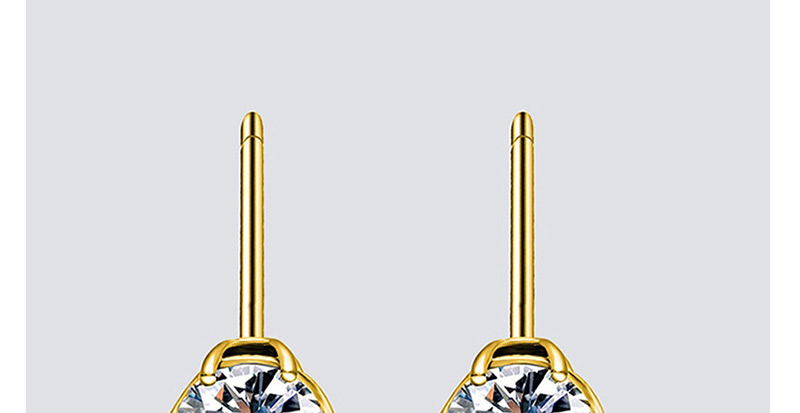 Fashion Gold Zircon Stainless Steel Earrings,Earrings