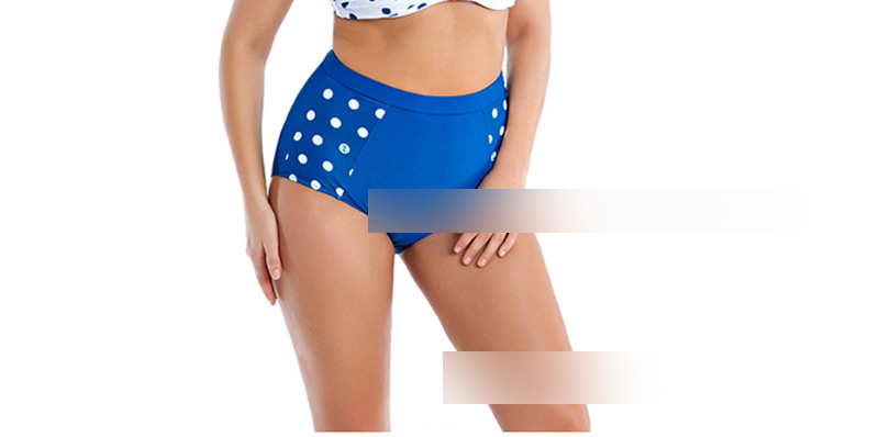 Fashion Blue High Waist Point Bikini,Swimwear Plus Size