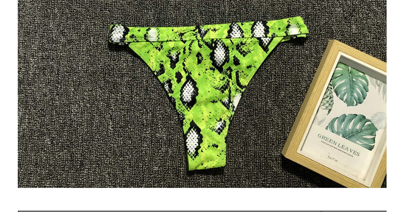 Fashion Green Snake Print Split Swimsuit,Bikini Sets