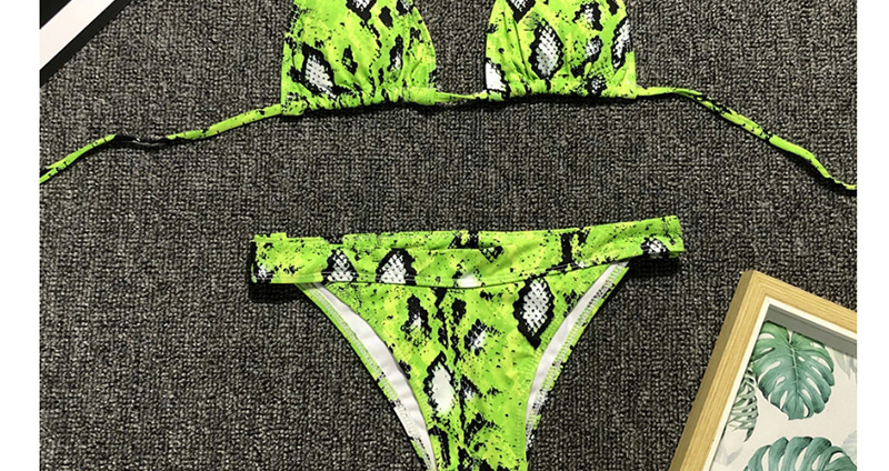Fashion Green Snake Print Split Swimsuit,Bikini Sets