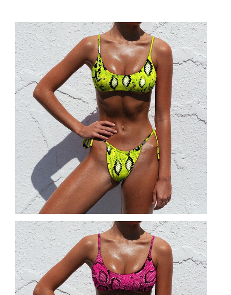 Fashion Fluorescent Green Snake Printed Split Swimsuit,Bikini Sets