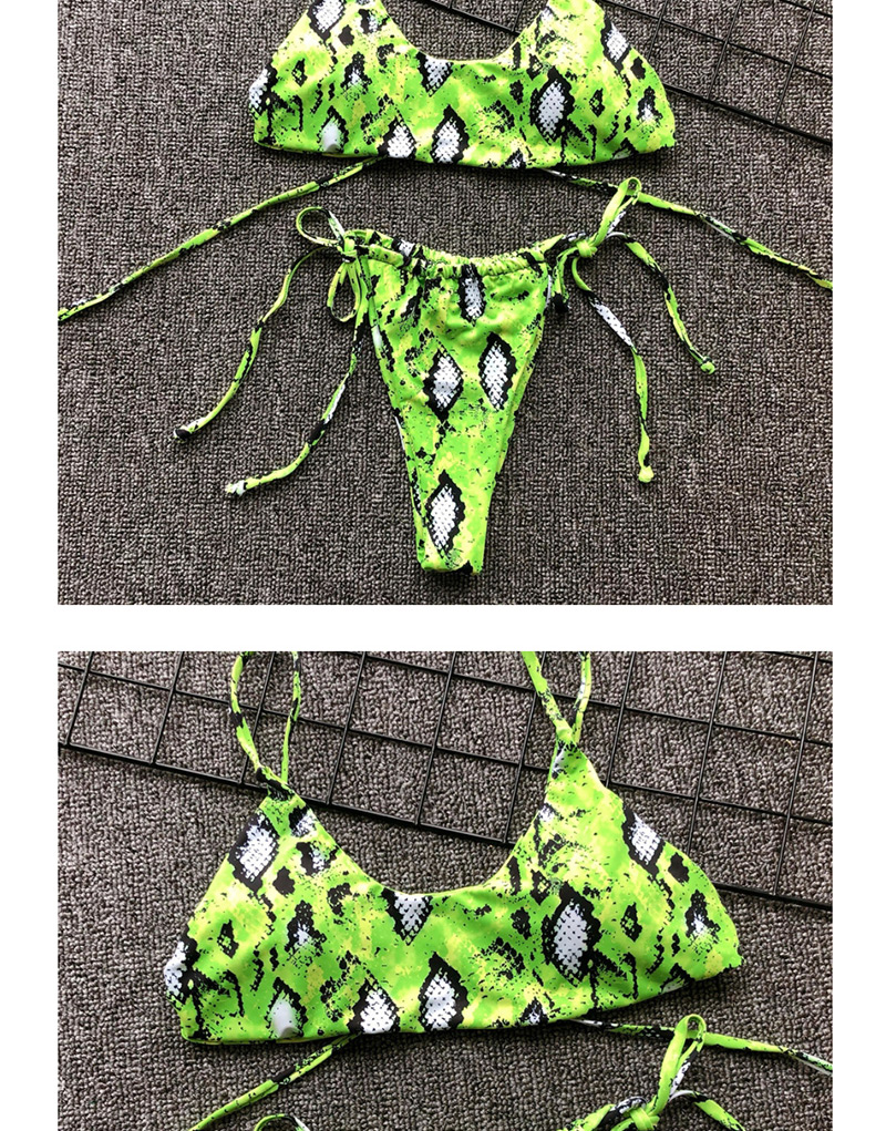 Fashion Fluorescent Green Snake Printed Split Swimsuit,Bikini Sets