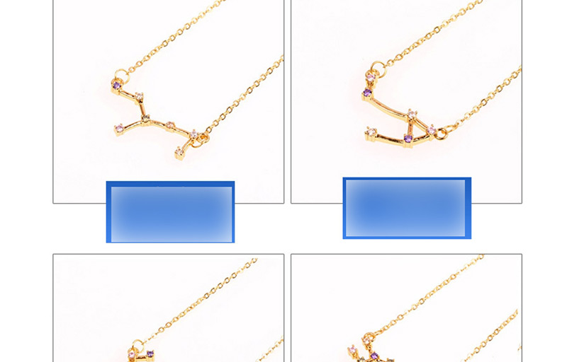 Fashion Leo Gold Twelve Constellation Inlaid Zircon Necklace,Bracelets