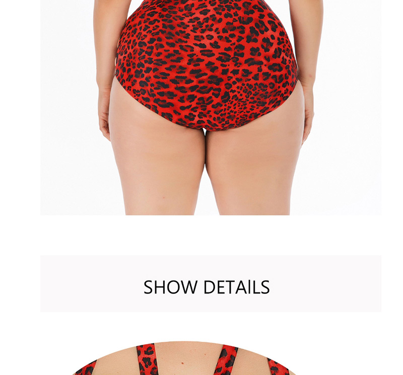 Fashion Leopard Big Cup Swimsuit,Swimwear Plus Size