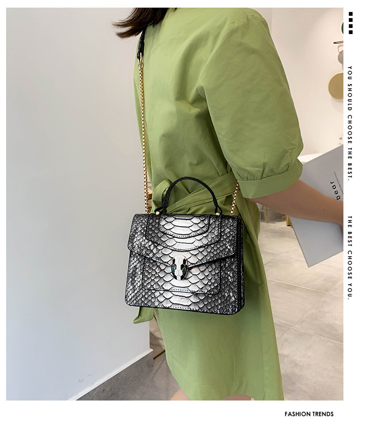 Fashion Blue Serpentine Shoulder Bag Shoulder Chain Bag,Handbags
