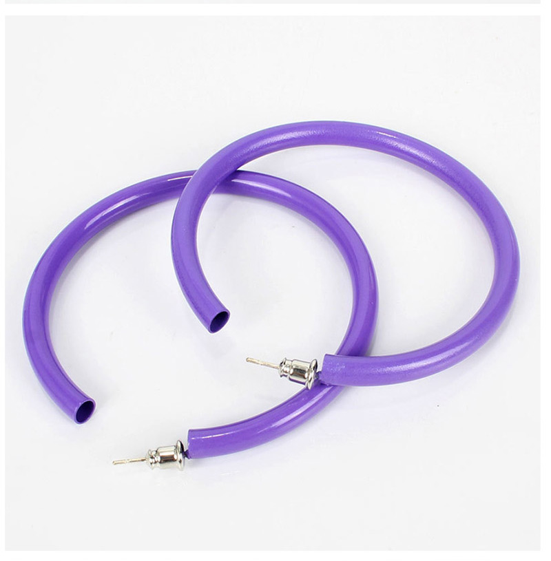 Fashion Purple  Silver Needle Earrings,Hoop Earrings