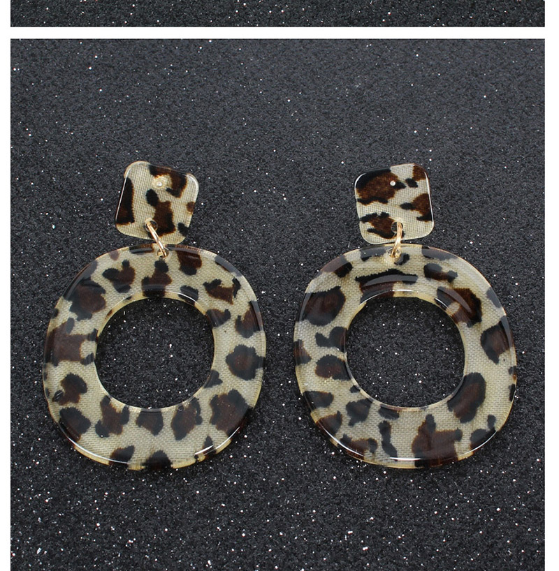 Fashion White Acrylic Geometric Oval Earrings,Drop Earrings