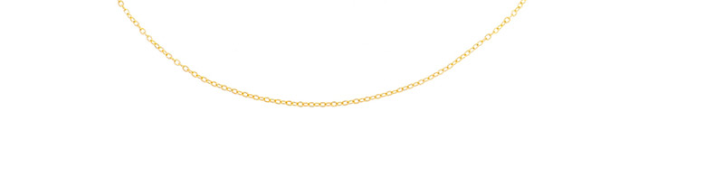 Fashion Gold Metal Fringed Fan-shaped Glasses Chain,Sunglasses Chain