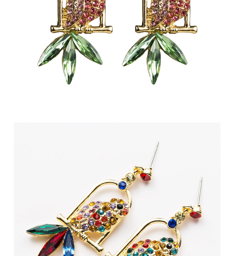 Fashion Color Acrylic Diamond Parrot Bird Cage Full Of Diamond Earrings,Drop Earrings