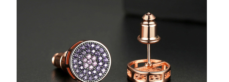 Fashion Rose Gold Micro-studded Stud,Earrings