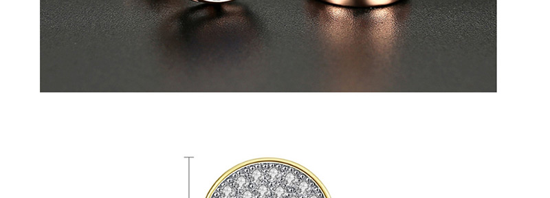 Fashion 18k Gold Micro-studded Stud,Earrings