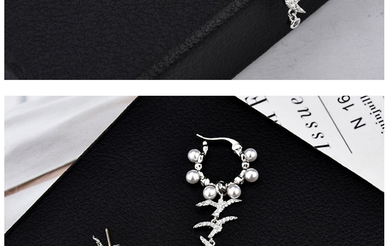 Fashion Silver Zircon Swallow Integrated Earrings,Earrings