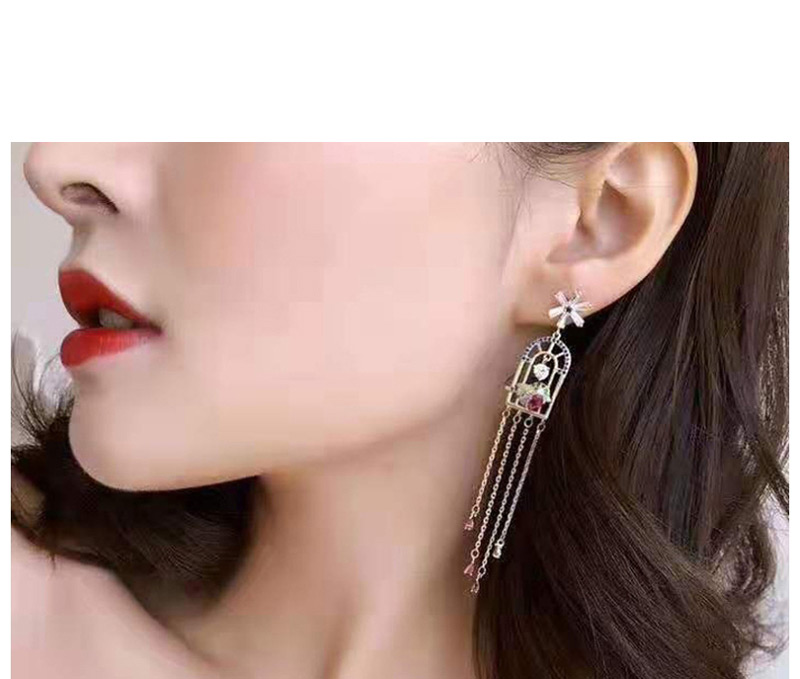 Fashion Gold  Silver Needle Drop Zircon Birdcage Tassel Earrings,Earrings