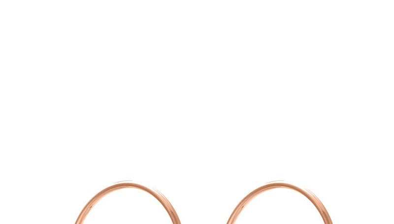 Fashion Rose Gold Stainless Steel Zircon C-shaped Earrings,Earrings
