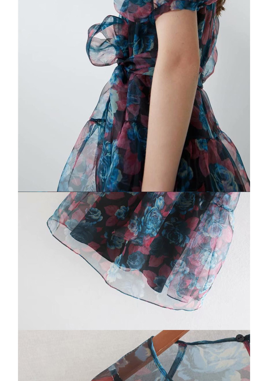 Fashion Color Printed Transparent Dress (two-piece),Long Dress