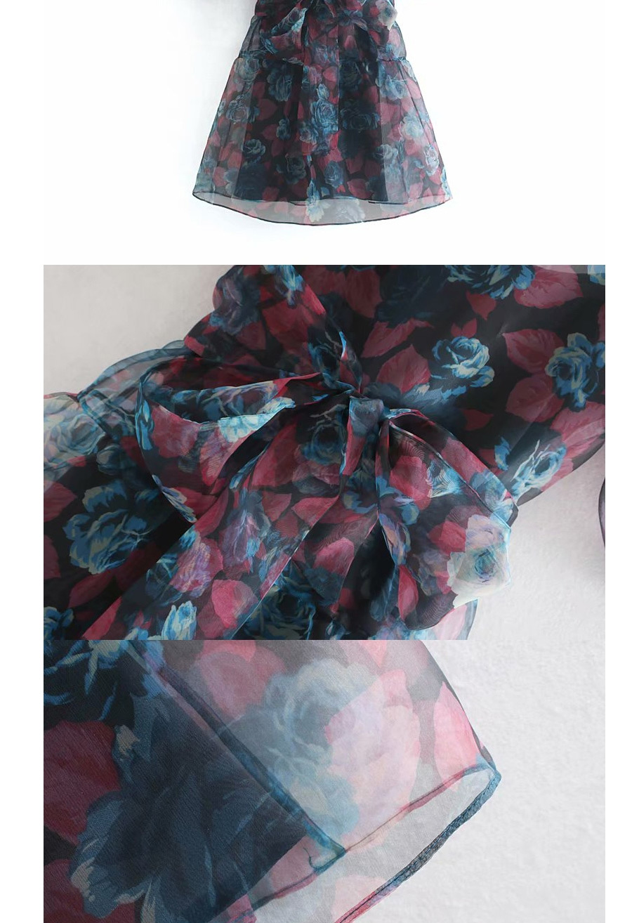 Fashion Color Printed Transparent Dress (two-piece),Long Dress