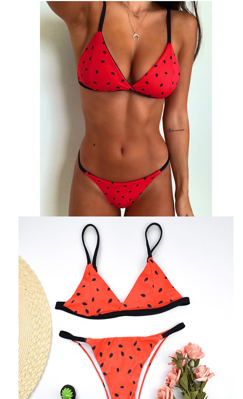 Fashion Watermelon Multicolor Bikini,Bikini Sets