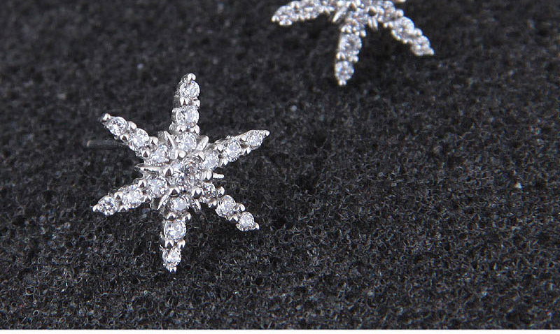Fashion Silver Starfish Earrings,Stud Earrings
