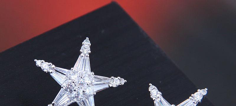 Fashion Silver  Silver Needle Copper Micro-inlaid Zircon Starfish Earrings,Earrings