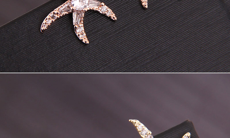 Fashion Rose Gold Copper Micro-inlaid Zirconium Starfish Earrings,Stud Earrings