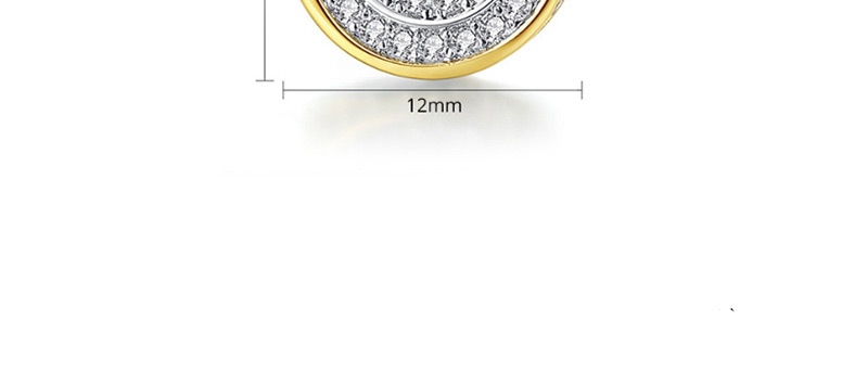 Fashion Black Zirconium Rose Gold Round Copper Inlaid Zirconium Earrings,Earrings