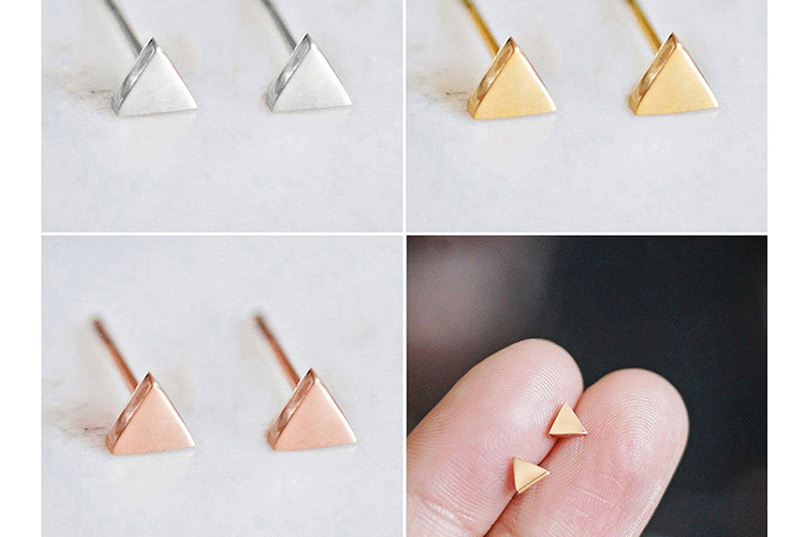 Fashion Rose Gold Stainless Steel Geometric Gold-plated Earrings,Earrings