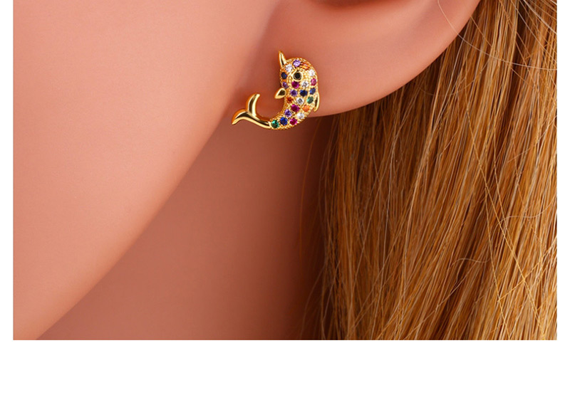 Fashion Dolphin Animal Stud Earrings,Earrings