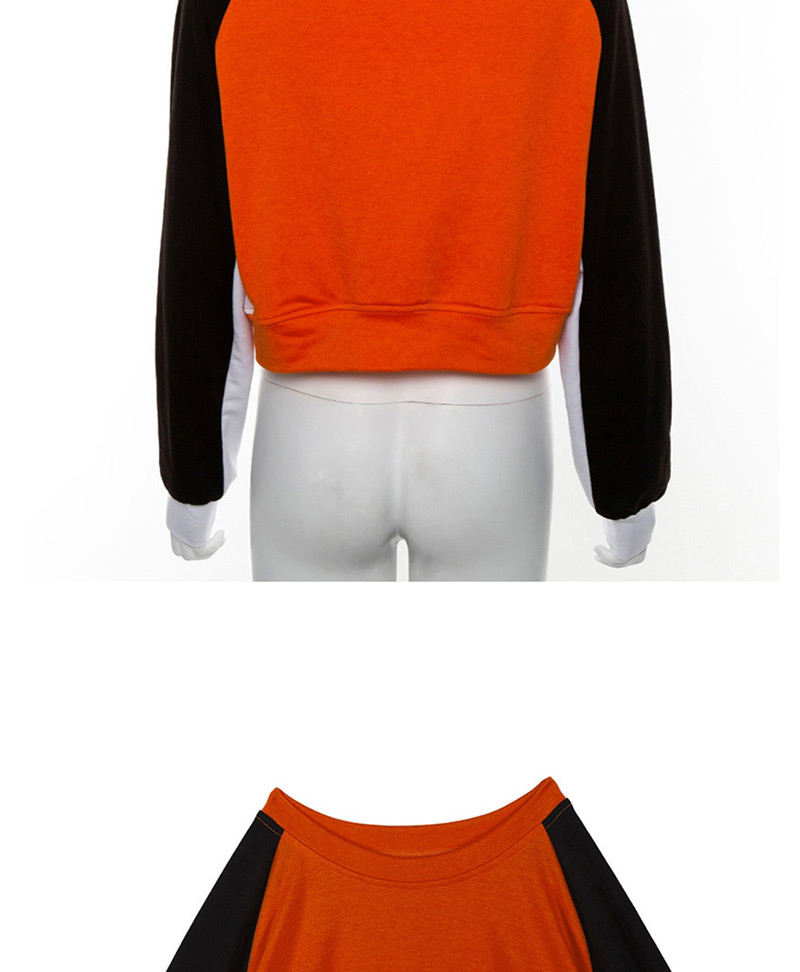 Fashion Orange Round Neck Contrast Stitching Sweater,Tank Tops & Camis