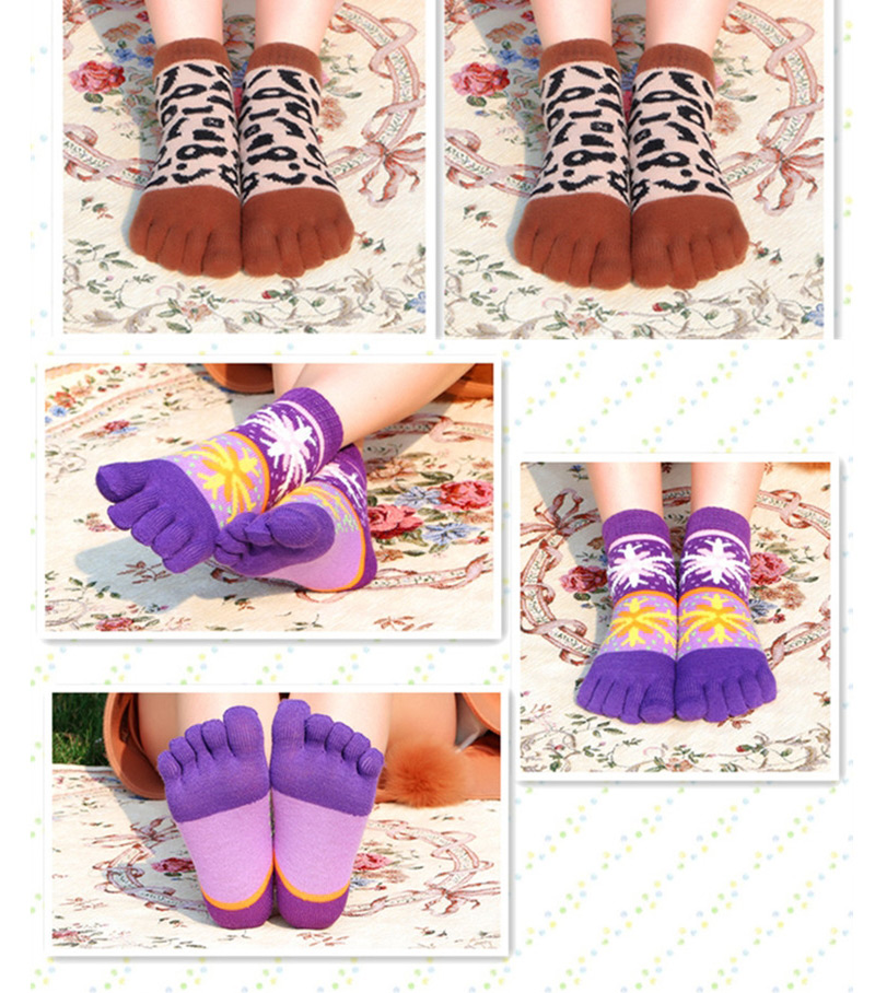 Fashion Taro Gray Animal Cartoon Tube Toe Socks,Fashion Socks