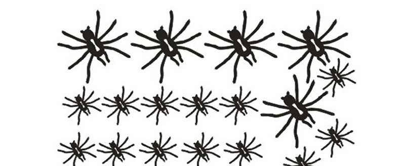 Fashion Multicolor Kst-12 Halloween Spider Wall Stickers,Festival & Party Supplies