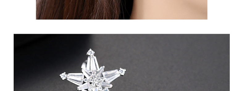 Fashion Platinum-t04c26 Pentagram Earrings,Earrings